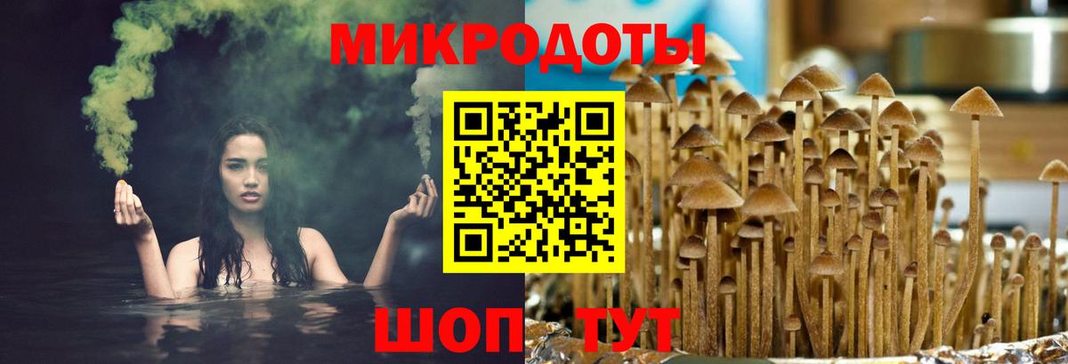 Междуреченск  Галлюциногенные грибы MAGIC MUSHROOMS  Вход с VPN 